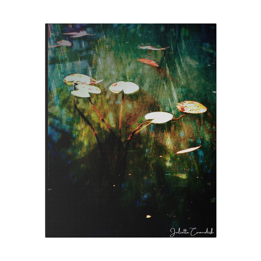 Water Lillies