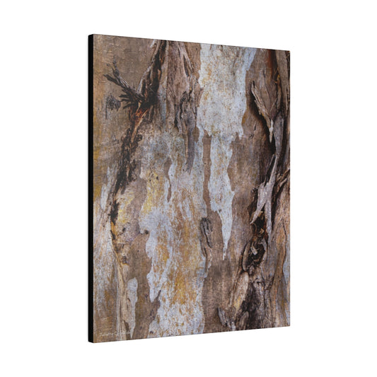 Tree Bark Canvas