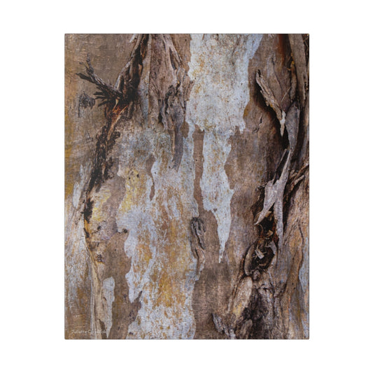 Tree Bark Canvas