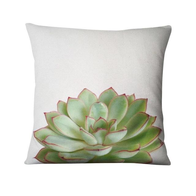 Cacti and Succulent Cushion Covers.