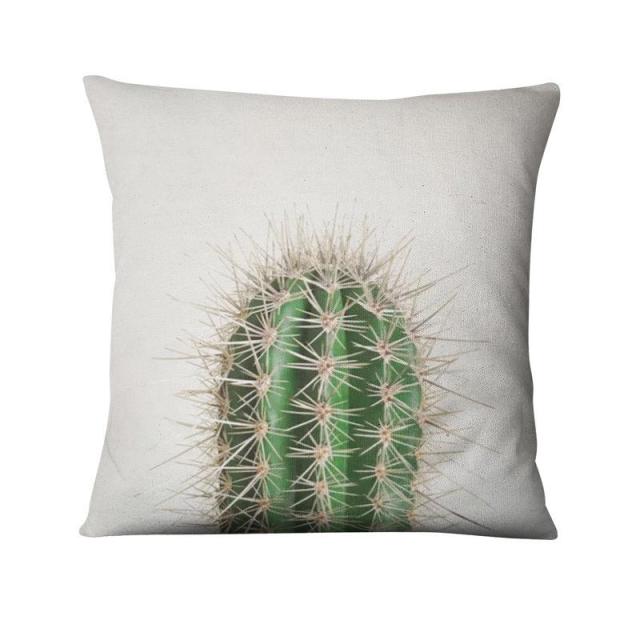 Cacti and Succulent Cushion Covers.