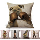 Quirky Animal Portraits Cushion Cover Series.