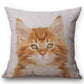 Peek-A-Boo Cat Cushion Cover